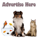 Advertise Here