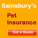 pet insurance