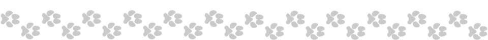 paw prints banner