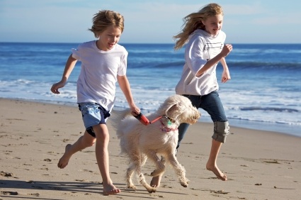 children exercising with dog