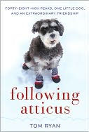 following atticus book