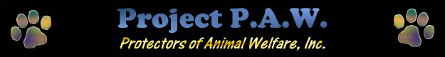 Project PAW : Protectors of Animal Welfare