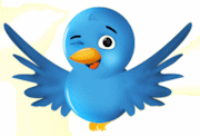 Twitter Bird Icon