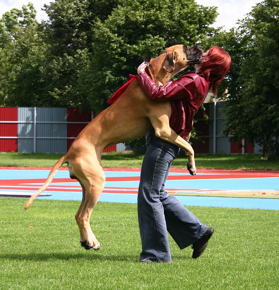 Women great dane