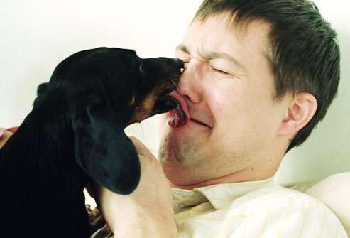 dog licking man's face
