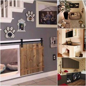 collage of dog home customization examples