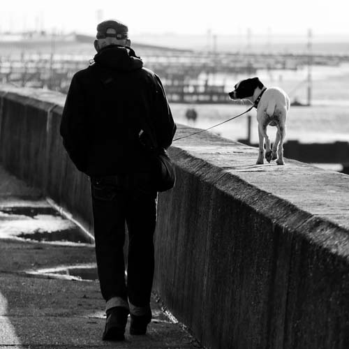 senior citizen walking his dog