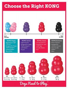 kong dog toy size chart