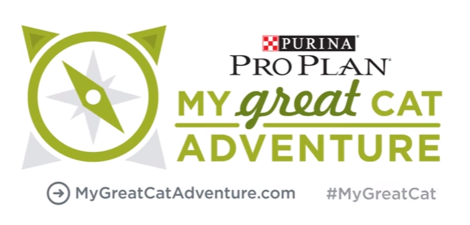 my great cat adventure banner