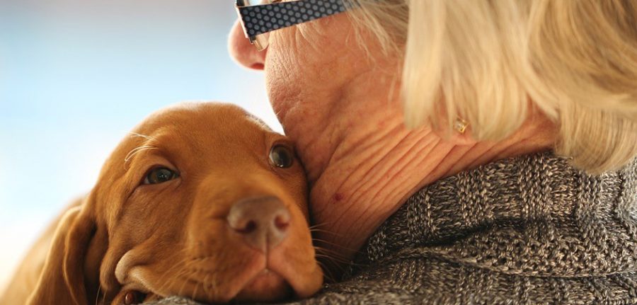 senior citizen hugging a dog