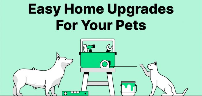 easy home upgrades for your pets banner