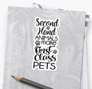2nd hand animals make first class pets sticker