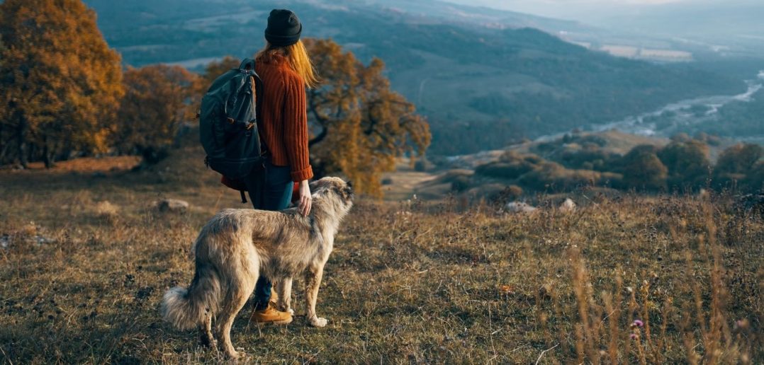 Canine Adventures: 3 Reasons You Should Hike With Your Dog