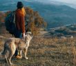 Canine Adventures: 3 Reasons You Should Hike With Your Dog
