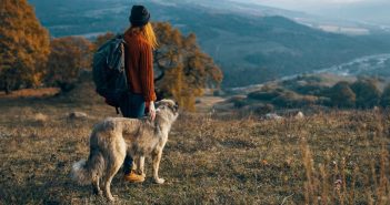 Canine Adventures: 3 Reasons You Should Hike With Your Dog