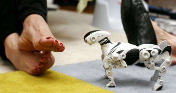 robotic pet