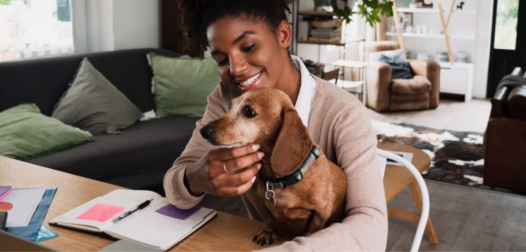 How To Successfully Work from Home with a Dog
