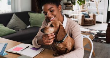 How To Successfully Work from Home with a Dog