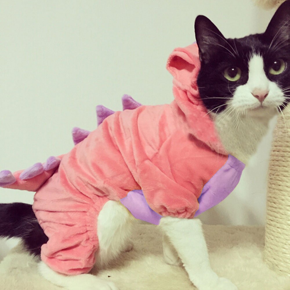 black and white cat in a cute pink dinosaur costume