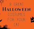 halloween silhouette scene with a black cat