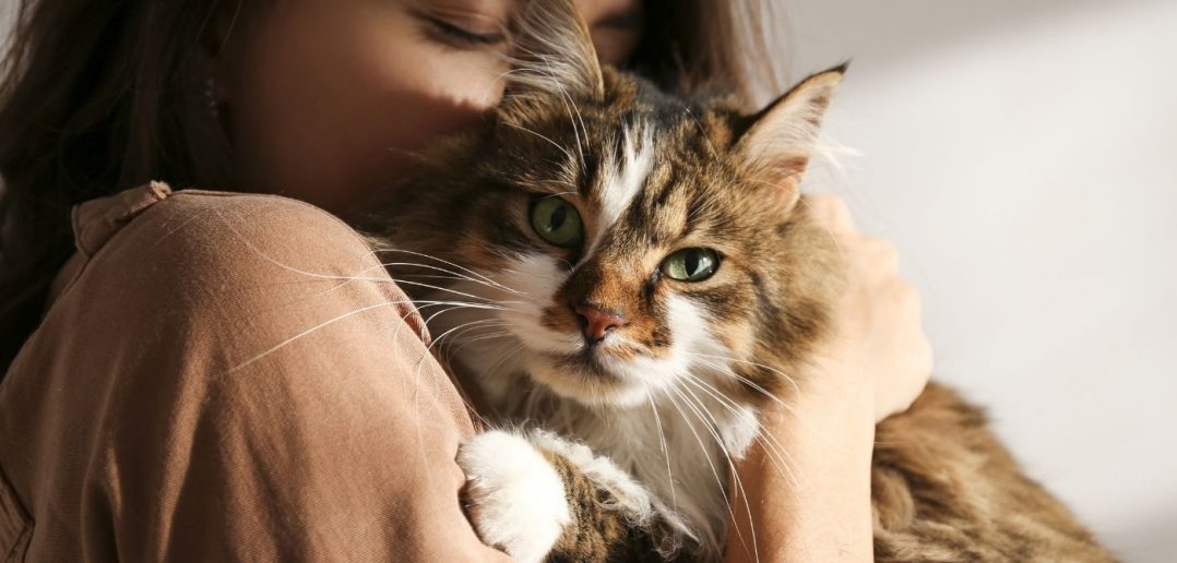 Dangers of Mold for Household Pets