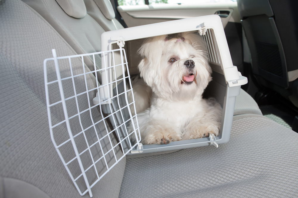 Dog Crate for Car
