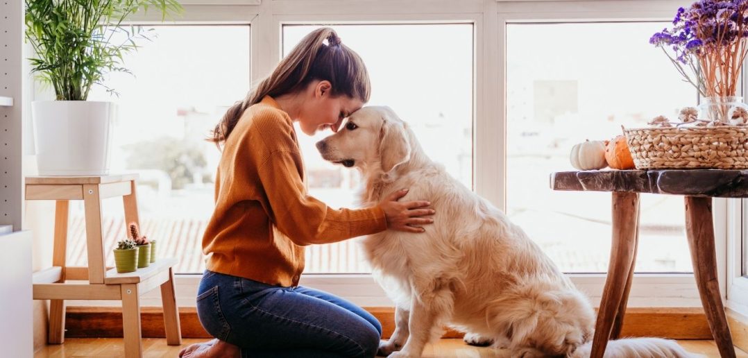 The Warning Signs of Asbestos Exposure in Pets