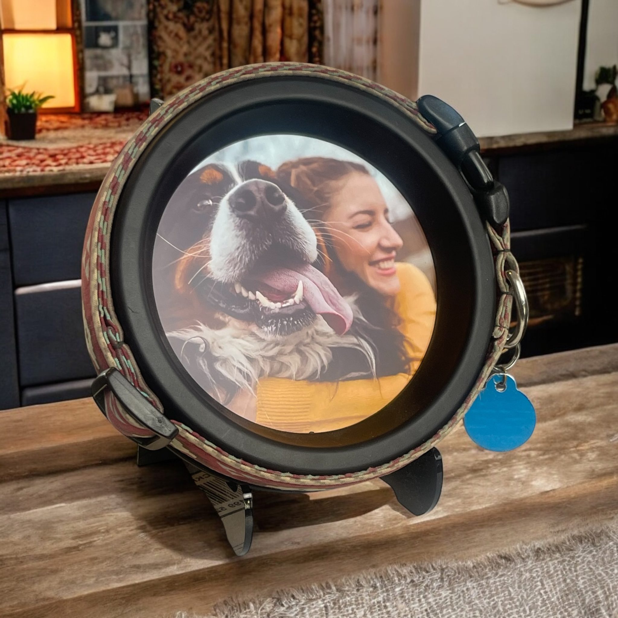 halo pet frame and collar