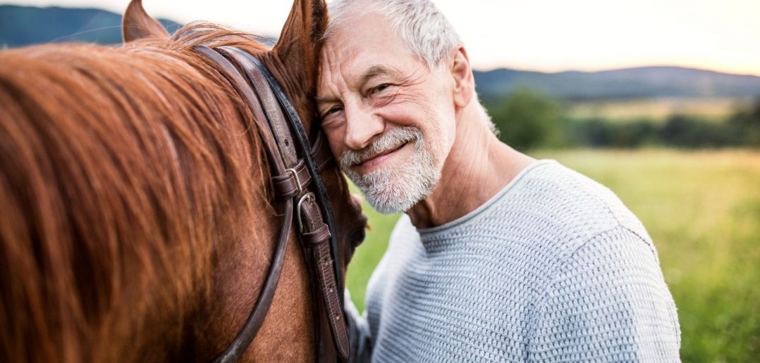 What To Know Before Getting a Horse