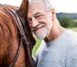 What To Know Before Getting a Horse