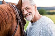 What To Know Before Getting a Horse