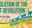 national feral cat day alley cat allies 2015