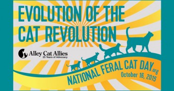 national feral cat day alley cat allies 2015