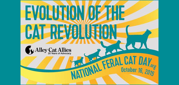 national feral cat day alley cat allies 2015