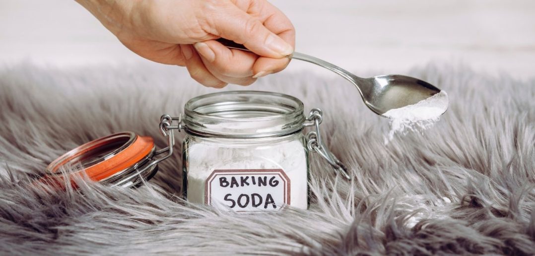 Tips To Keep Your Home Smelling Clean as a Dog Owner