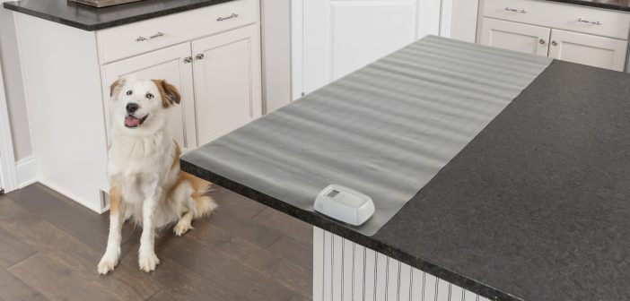 petsafe's scat mat laying on a kitchen counter