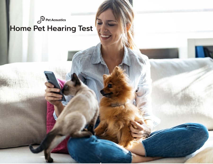 Woman sitting on the floor, looking at her phone with a little dog and cat on her lap.