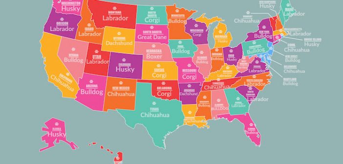 most popular dog breeds US map