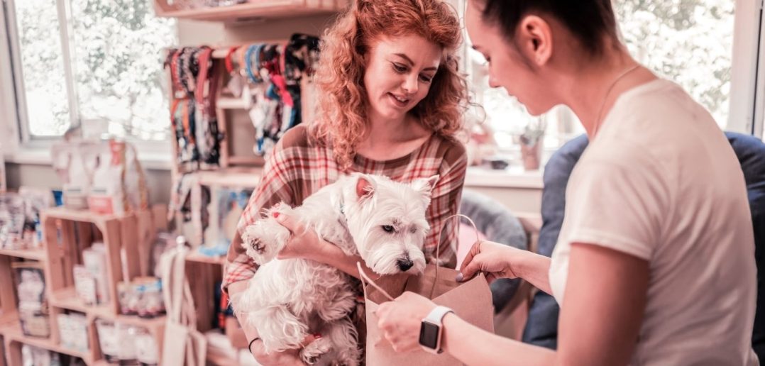 Top Ways To Spoil Your Dog With Love This Year