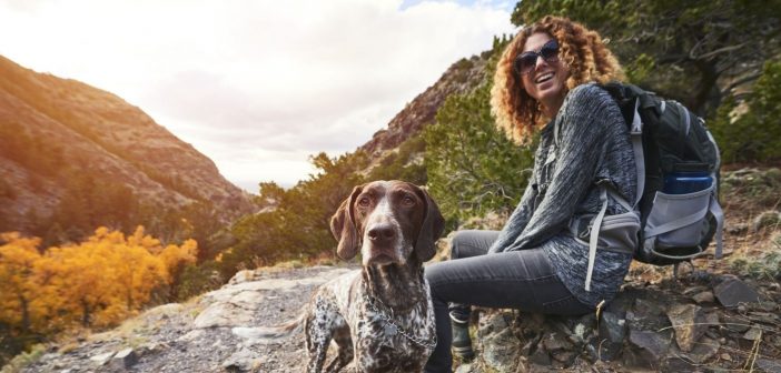 Top Tips for Hiking With Your Dog This Summer