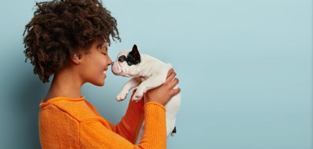 Should You Get a Dog if You Live Alone?