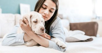 How To Calm Your Dog Before a Vet Visit