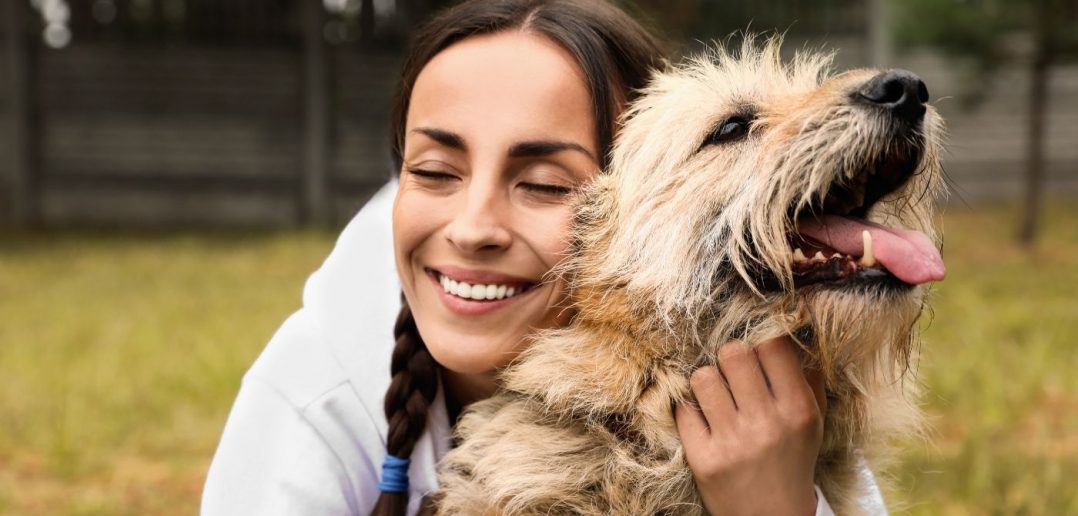 Tips for Taking in a Shelter Dog