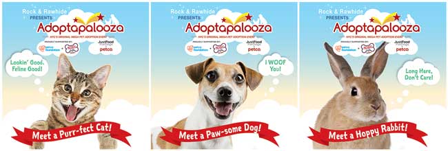 adoptapalooza featured adoption animals cat, dog, rabbit