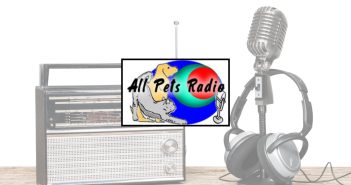 microphone, headphones, and portable radio background with the all pets radio logo