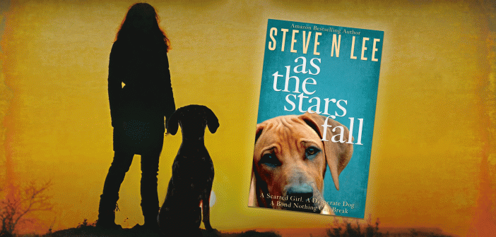 as the stars fall book banner