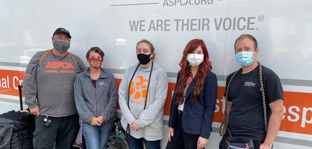 Kentucky Humane Society Facebook post photo