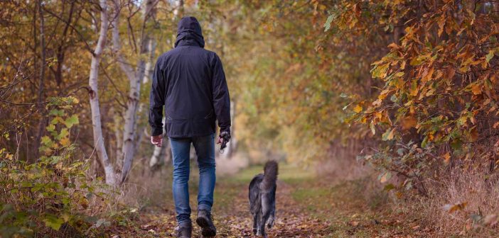 man and his dog walking outside in autumn