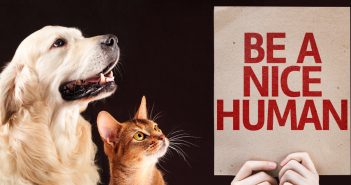 dog and cat looking at a sign that says be a nice human