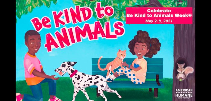 Be Kind to Animals week banner